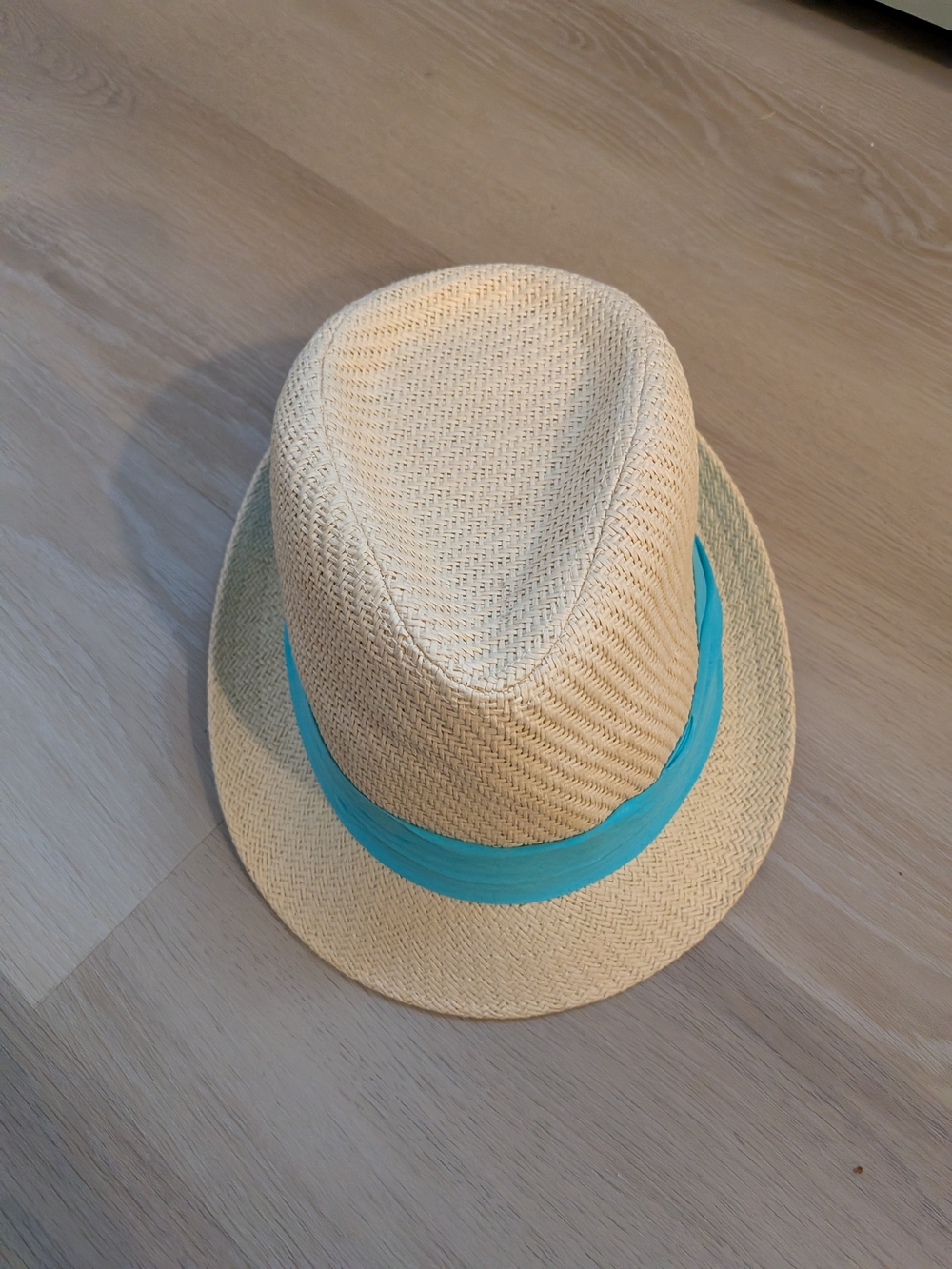 Hat with Turquoise Band